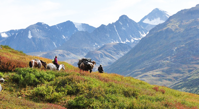 Altai Mountain & Kazakh Adventures