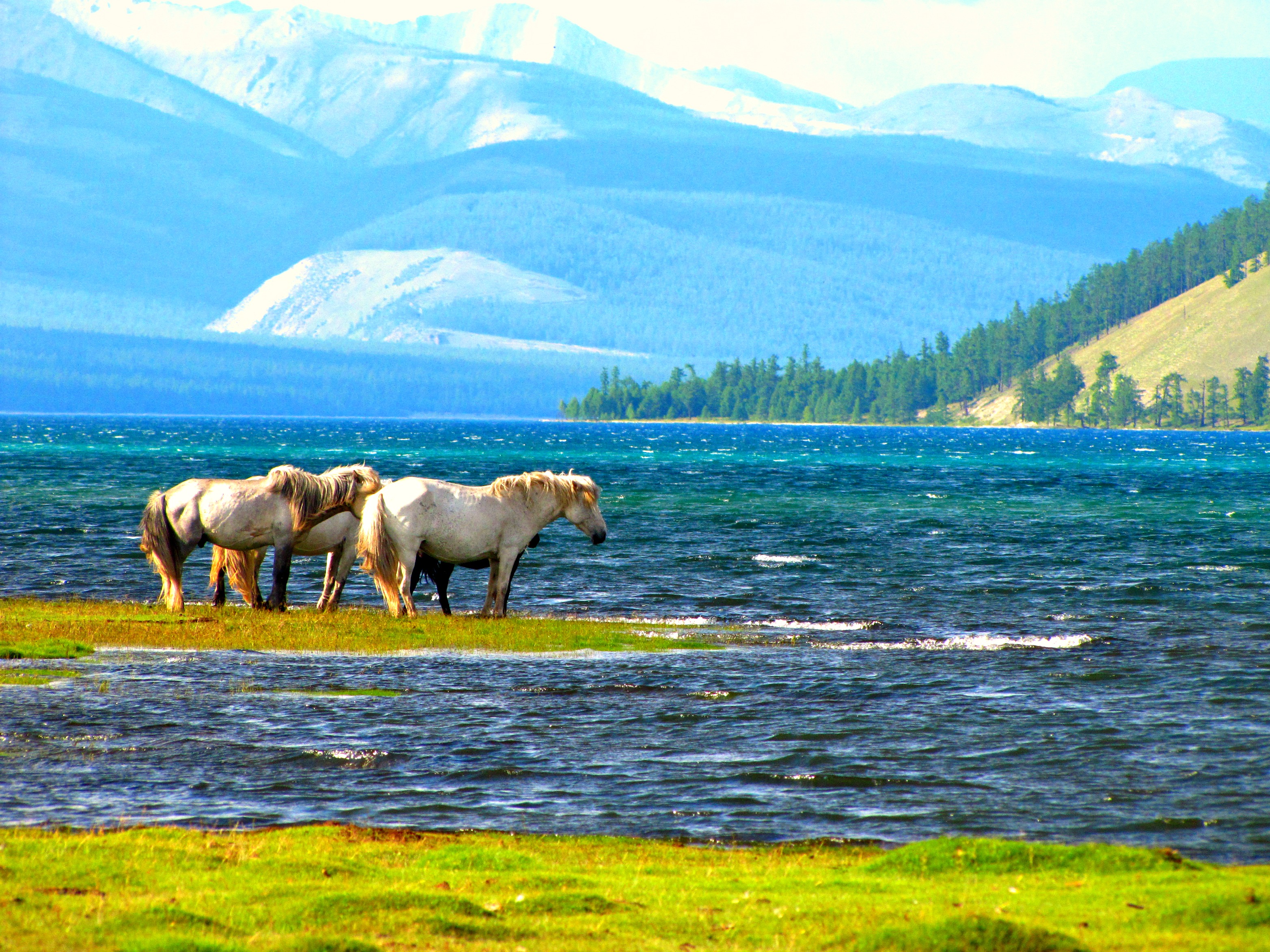 Lake-Khovsgol-iconic-view-and-feeling-quiteness